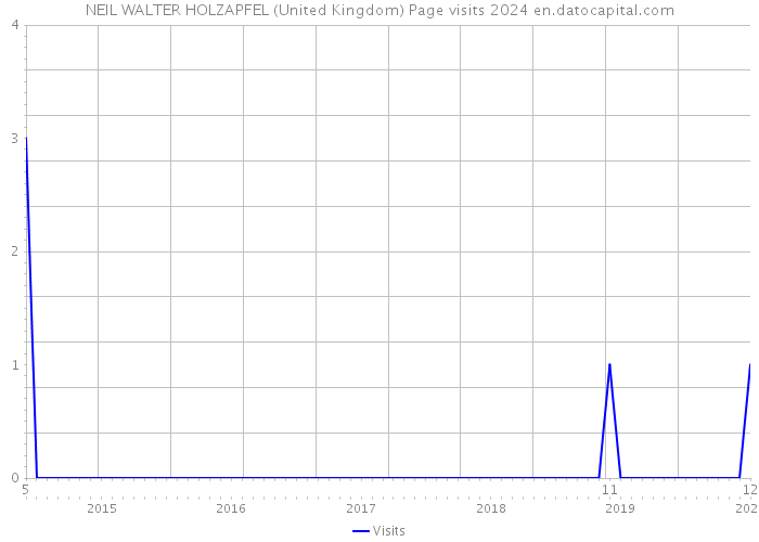 NEIL WALTER HOLZAPFEL (United Kingdom) Page visits 2024 