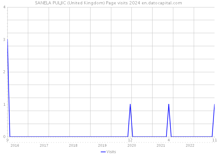 SANELA PULJIC (United Kingdom) Page visits 2024 