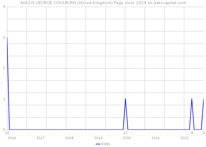 ANGUS GEORGE COCKBURN (United Kingdom) Page visits 2024 
