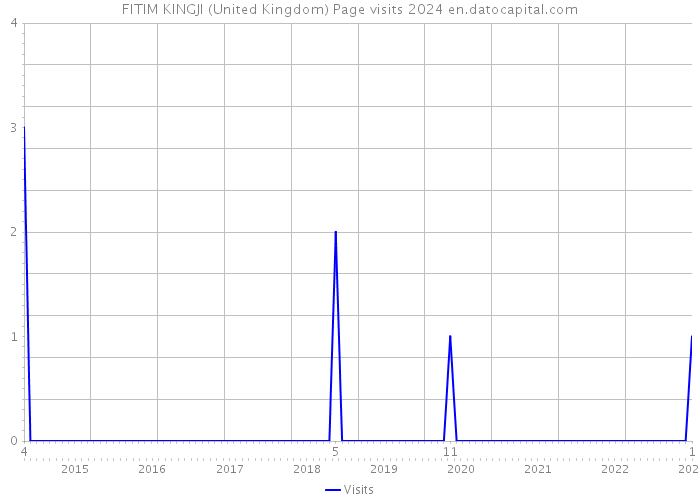 FITIM KINGJI (United Kingdom) Page visits 2024 