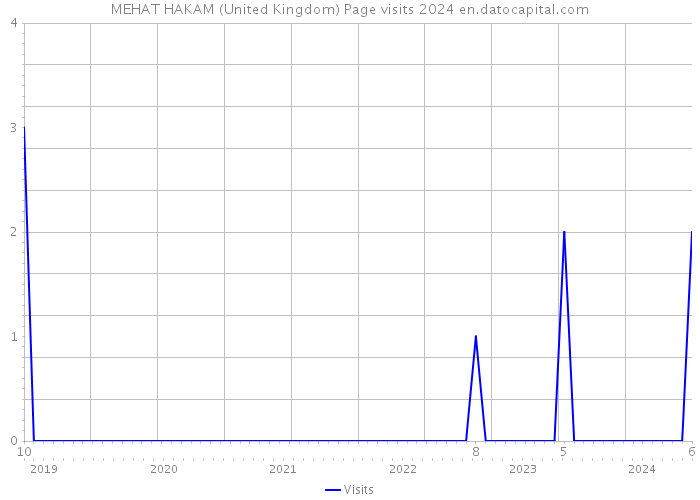 MEHAT HAKAM (United Kingdom) Page visits 2024 