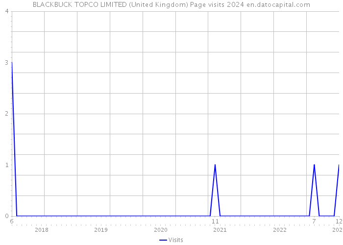 BLACKBUCK TOPCO LIMITED (United Kingdom) Page visits 2024 