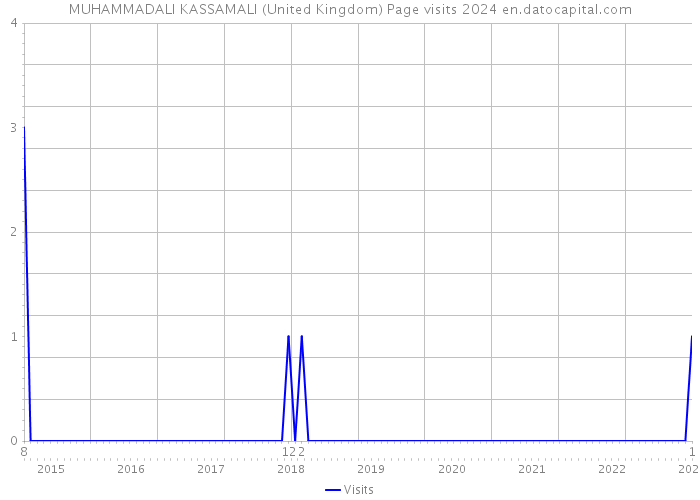 MUHAMMADALI KASSAMALI (United Kingdom) Page visits 2024 