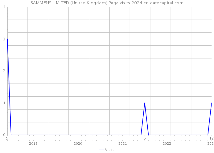 BAMMENS LIMITED (United Kingdom) Page visits 2024 