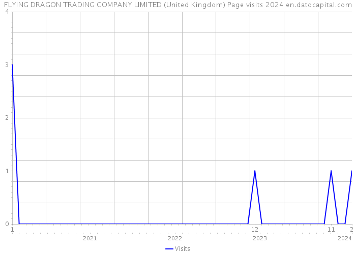 FLYING DRAGON TRADING COMPANY LIMITED (United Kingdom) Page visits 2024 