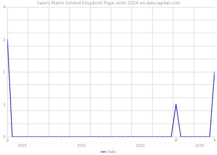 Valerij Riskin (United Kingdom) Page visits 2024 