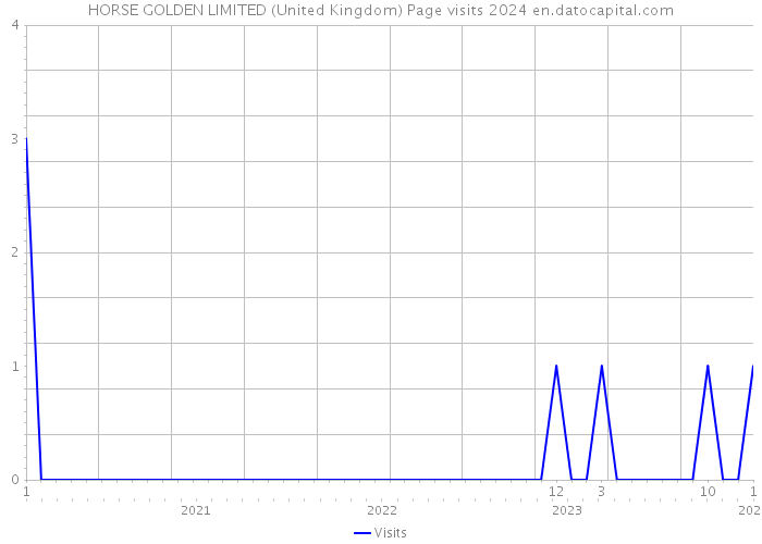 HORSE GOLDEN LIMITED (United Kingdom) Page visits 2024 