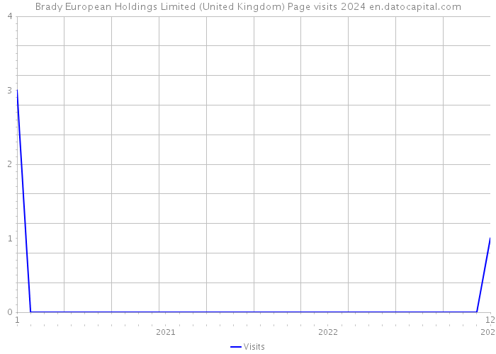 Brady European Holdings Limited (United Kingdom) Page visits 2024 