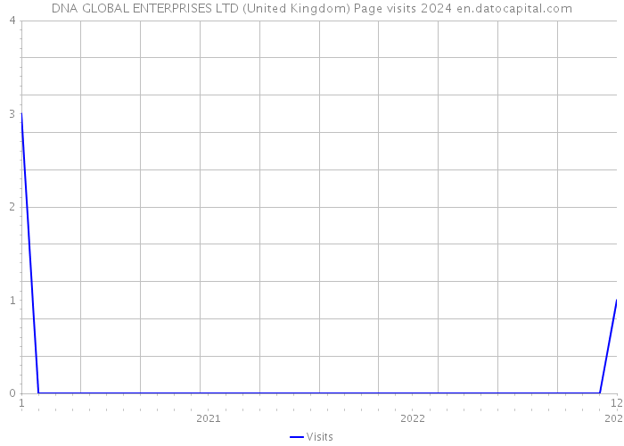 DNA GLOBAL ENTERPRISES LTD (United Kingdom) Page visits 2024 