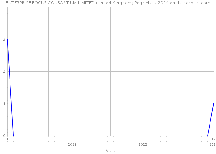 ENTERPRISE FOCUS CONSORTIUM LIMITED (United Kingdom) Page visits 2024 