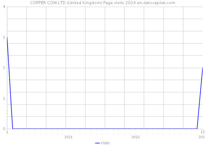COPPER COW LTD (United Kingdom) Page visits 2024 