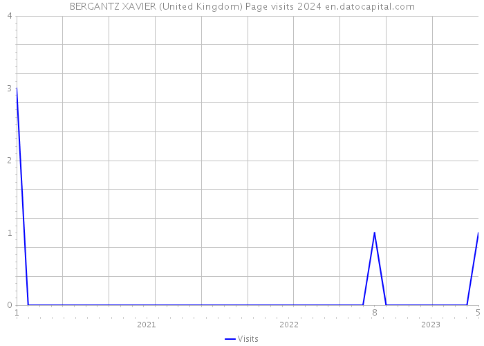 BERGANTZ XAVIER (United Kingdom) Page visits 2024 