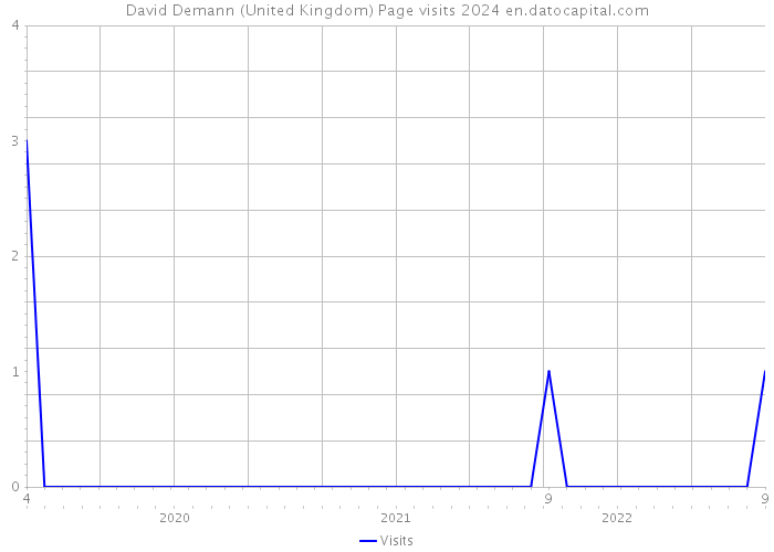 David Demann (United Kingdom) Page visits 2024 
