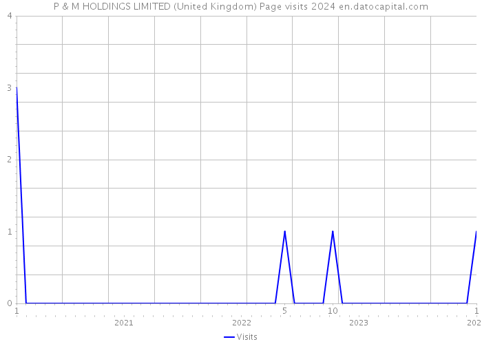 P & M HOLDINGS LIMITED (United Kingdom) Page visits 2024 