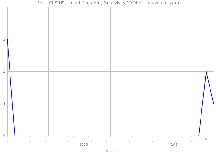 SAUL GLENIE (United Kingdom) Page visits 2024 