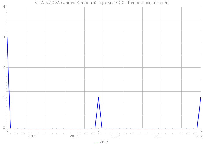 VITA RIZOVA (United Kingdom) Page visits 2024 