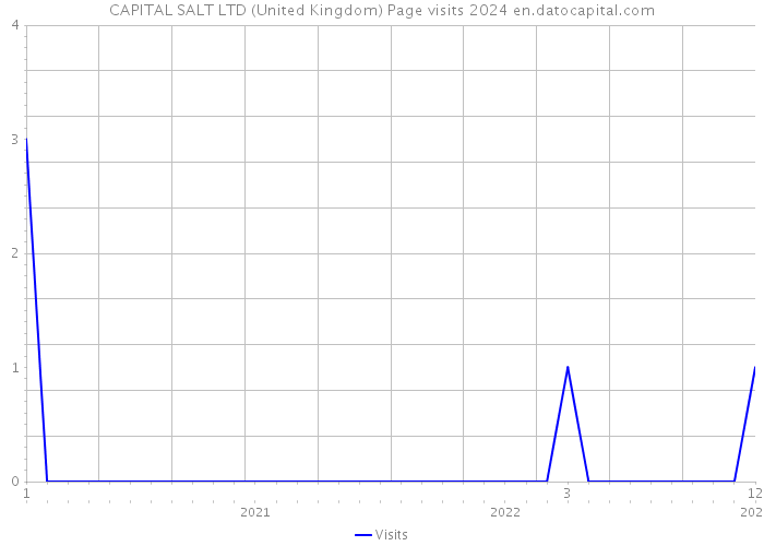 CAPITAL SALT LTD (United Kingdom) Page visits 2024 