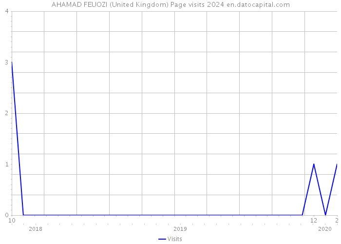 AHAMAD FEUOZI (United Kingdom) Page visits 2024 