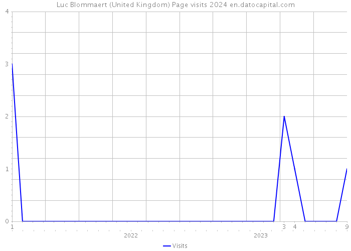 Luc Blommaert (United Kingdom) Page visits 2024 