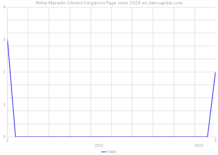 Mihai Maradin (United Kingdom) Page visits 2024 