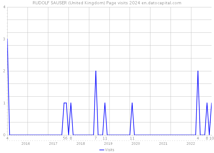 RUDOLF SAUSER (United Kingdom) Page visits 2024 