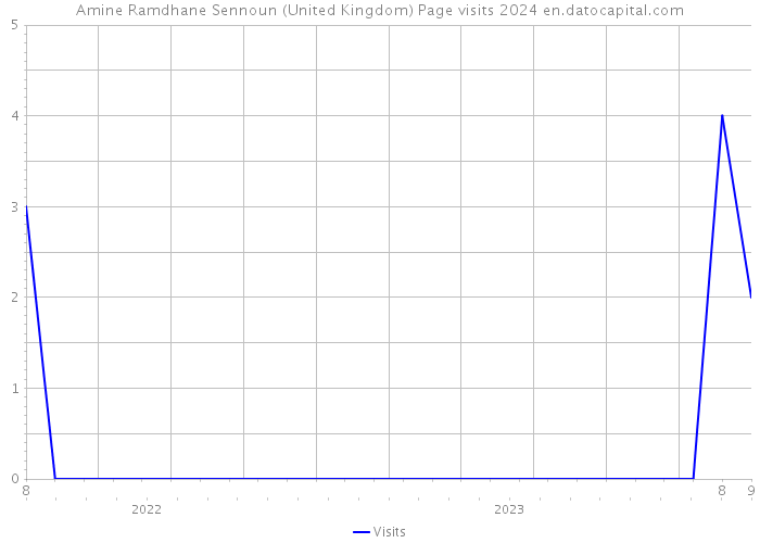 Amine Ramdhane Sennoun (United Kingdom) Page visits 2024 