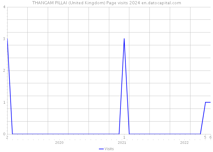 THANGAM PILLAI (United Kingdom) Page visits 2024 