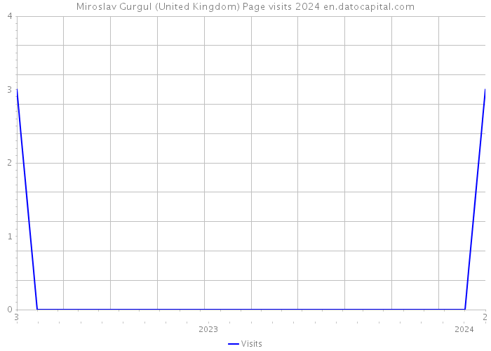 Miroslav Gurgul (United Kingdom) Page visits 2024 