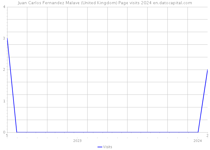 Juan Carlos Fernandez Malave (United Kingdom) Page visits 2024 