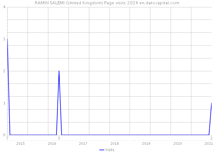 RAMIN SALEMI (United Kingdom) Page visits 2024 