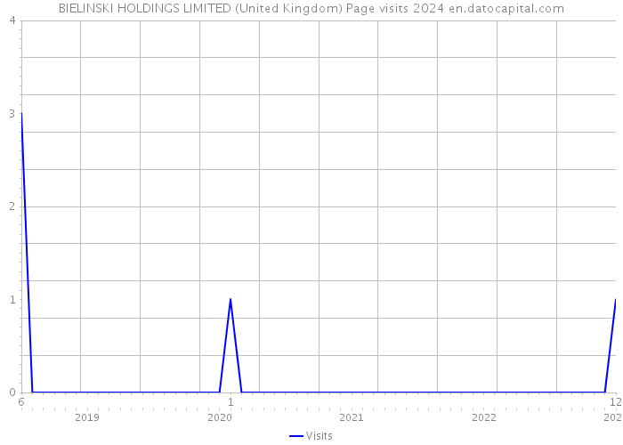 BIELINSKI HOLDINGS LIMITED (United Kingdom) Page visits 2024 