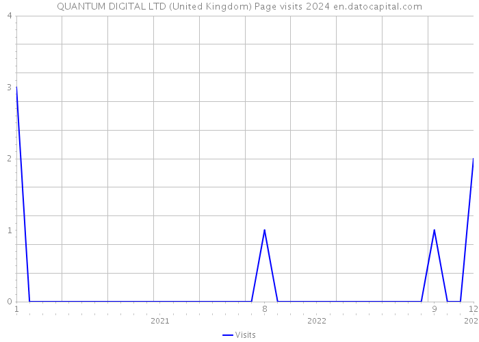 QUANTUM DIGITAL LTD (United Kingdom) Page visits 2024 