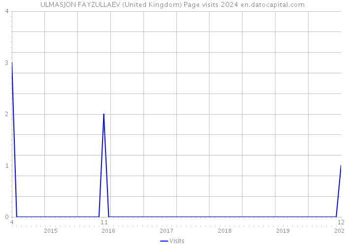 ULMASJON FAYZULLAEV (United Kingdom) Page visits 2024 