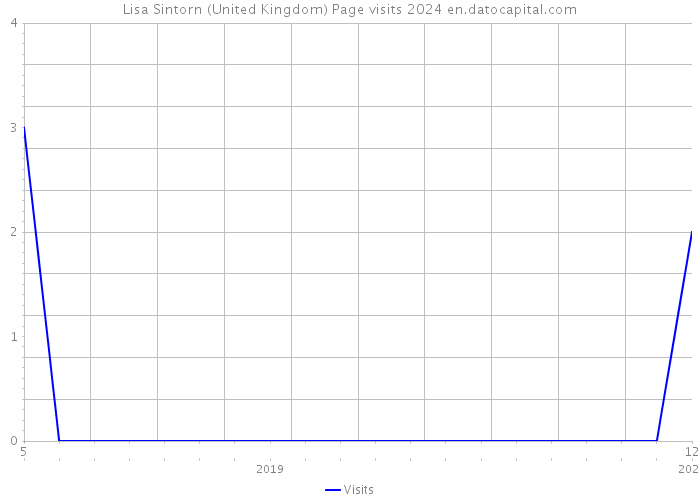 Lisa Sintorn (United Kingdom) Page visits 2024 