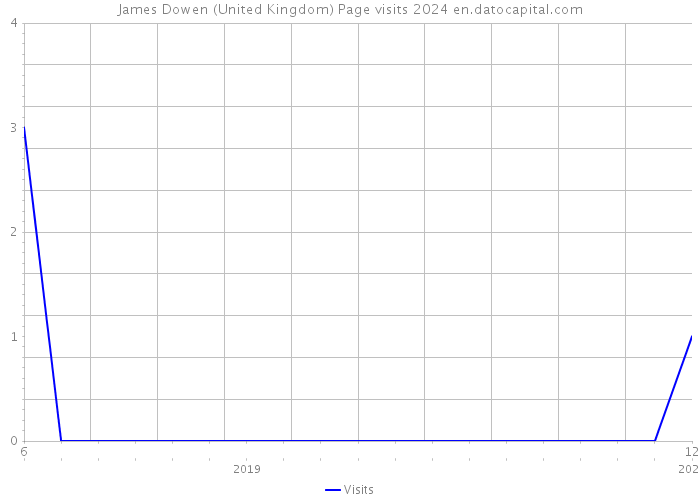 James Dowen (United Kingdom) Page visits 2024 