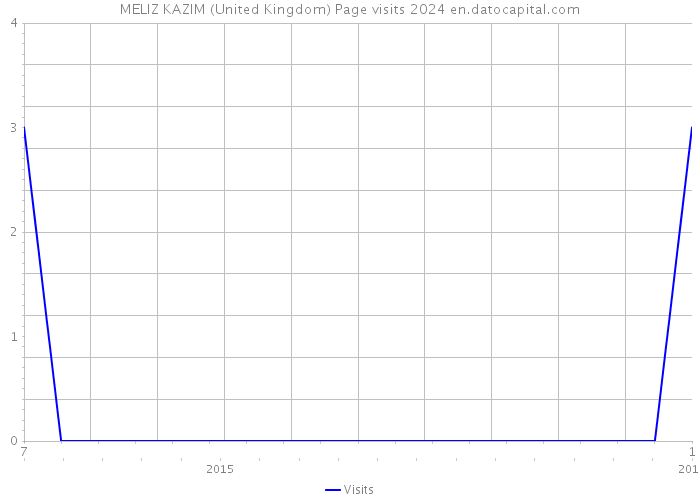 MELIZ KAZIM (United Kingdom) Page visits 2024 