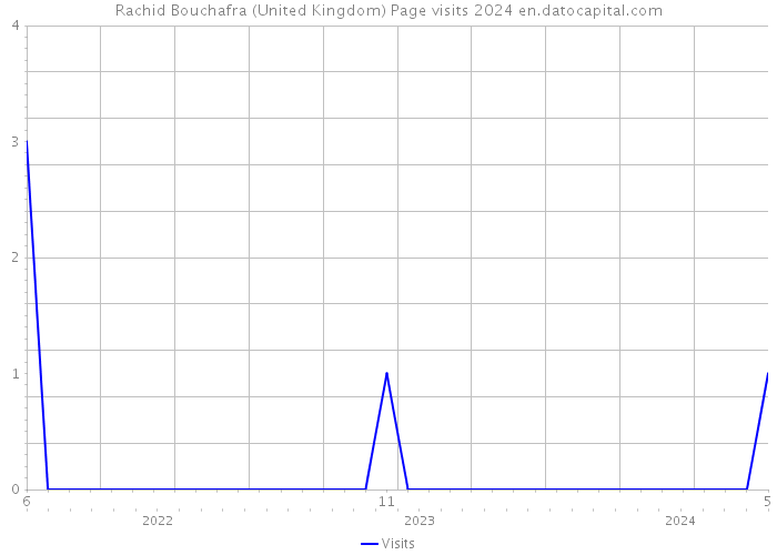 Rachid Bouchafra (United Kingdom) Page visits 2024 