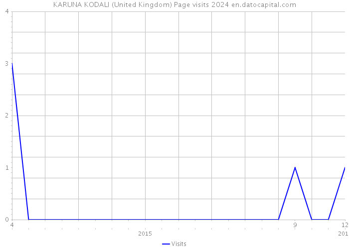 KARUNA KODALI (United Kingdom) Page visits 2024 