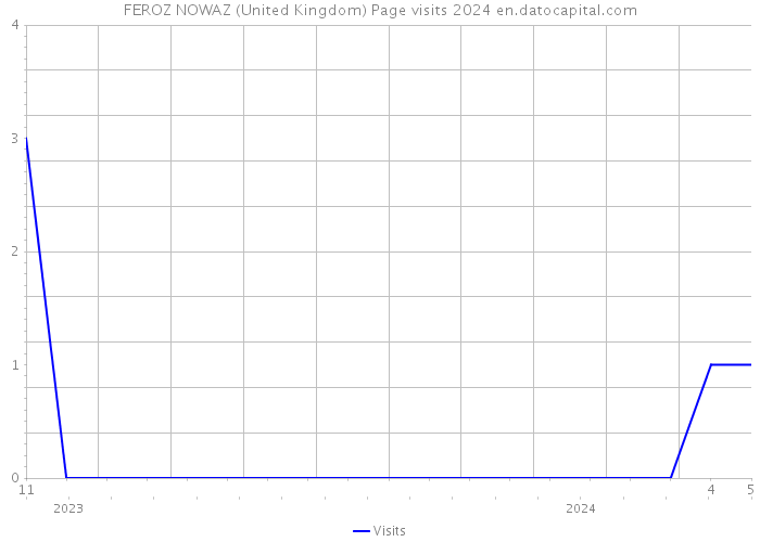 FEROZ NOWAZ (United Kingdom) Page visits 2024 