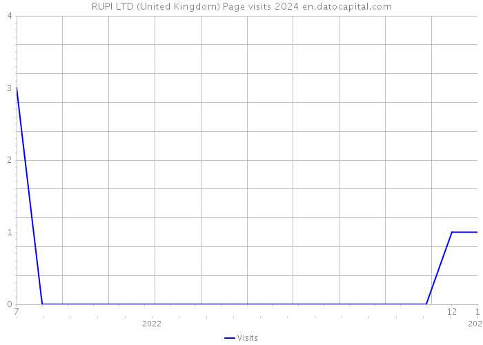 RUPI LTD (United Kingdom) Page visits 2024 