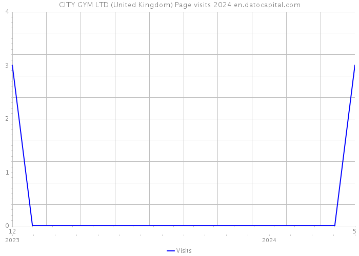 CITY GYM LTD (United Kingdom) Page visits 2024 