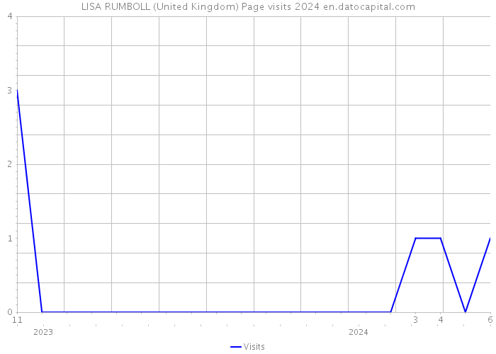 LISA RUMBOLL (United Kingdom) Page visits 2024 