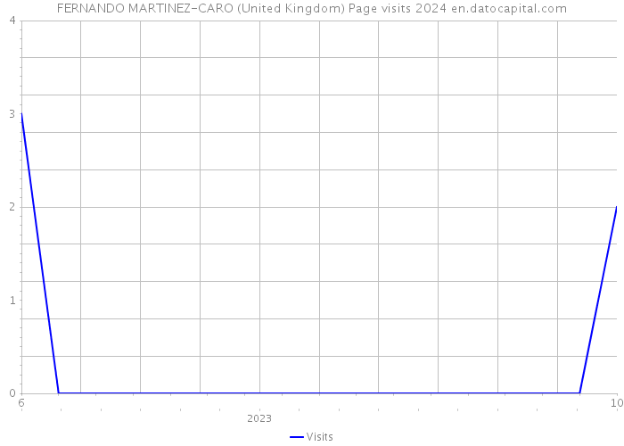 FERNANDO MARTINEZ-CARO (United Kingdom) Page visits 2024 