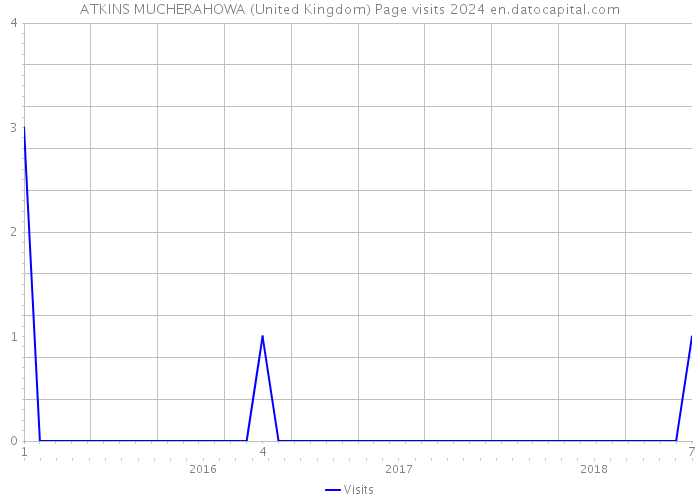 ATKINS MUCHERAHOWA (United Kingdom) Page visits 2024 