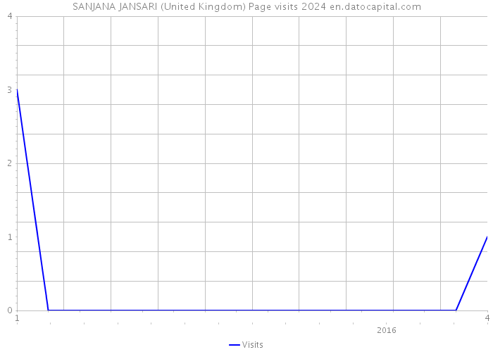 SANJANA JANSARI (United Kingdom) Page visits 2024 