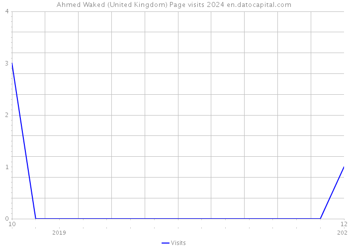 Ahmed Waked (United Kingdom) Page visits 2024 