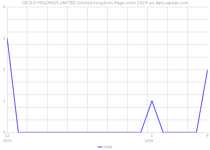 GECKO HOLDINGS LIMITED (United Kingdom) Page visits 2024 