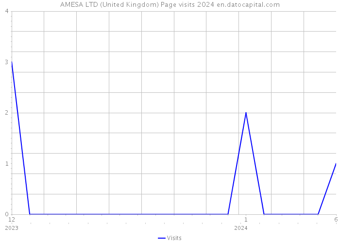AMESA LTD (United Kingdom) Page visits 2024 