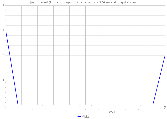 Juri Strebel (United Kingdom) Page visits 2024 