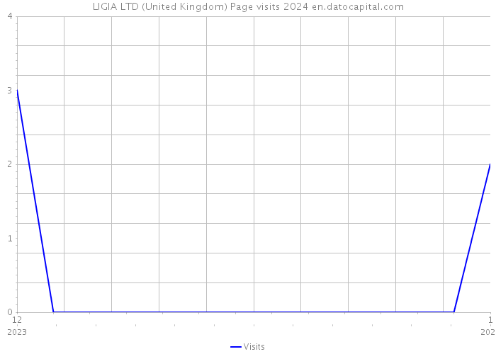 LIGIA LTD (United Kingdom) Page visits 2024 